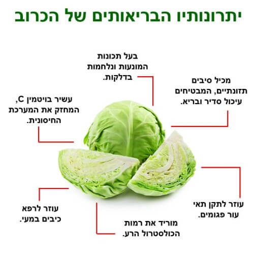 דיאטת הכרוב