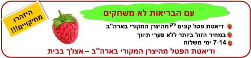 דיאטת הפטל המקורית