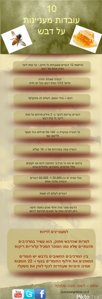 10 עובדות מעניינות על דבש