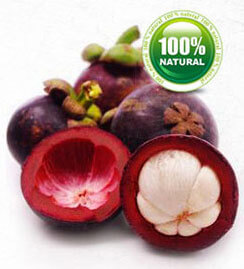 garcinia-cambogia