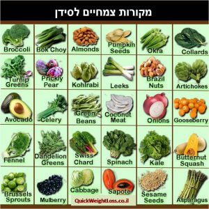 מקורות צמחיים לסידן