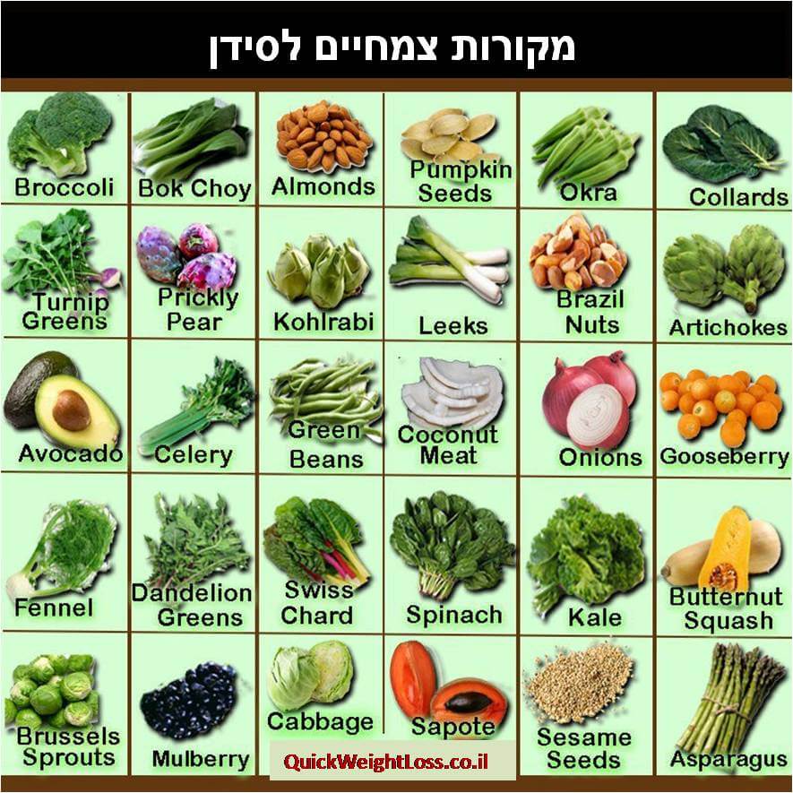 מקורות צמחיים לסידן