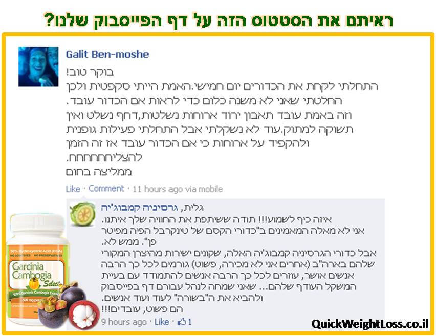 גרסיניה עדות 8.10.13