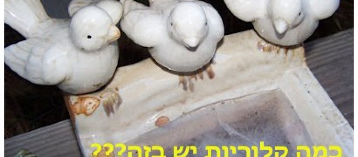 דיאטה - טעויות נפוצות