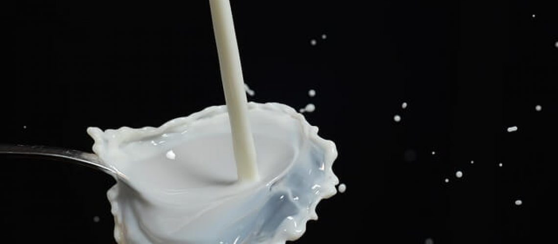 מוצרי חלב והדיאטה שלך