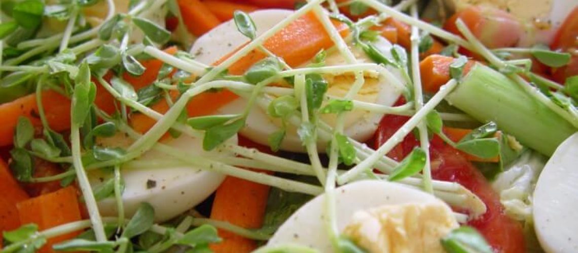 salad